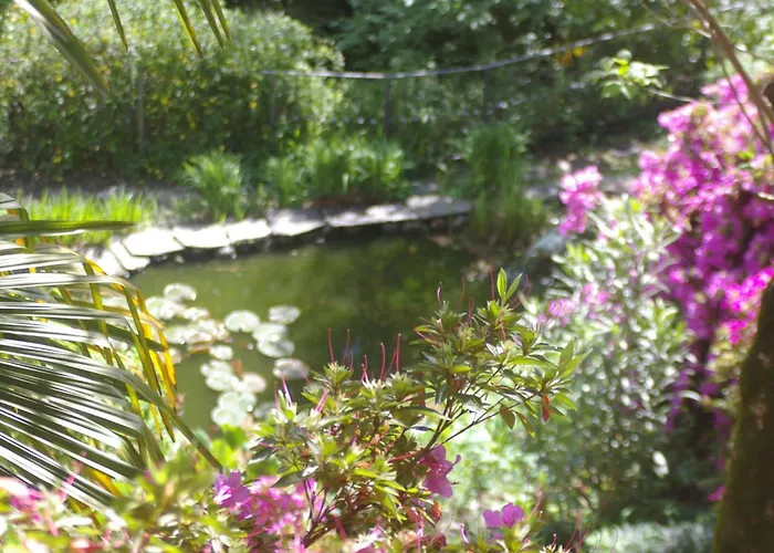 Vecchia Scuderia By Interhome Апартаменты Cissano